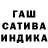 Каннабис White Widow Pintor