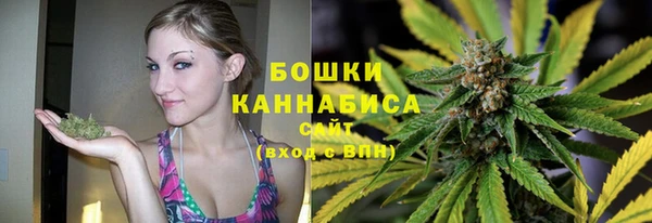 крисы Горнозаводск