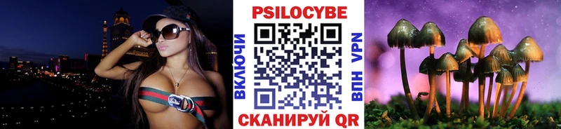 Галлюциногенные грибы MAGIC MUSHROOMS Кимовск